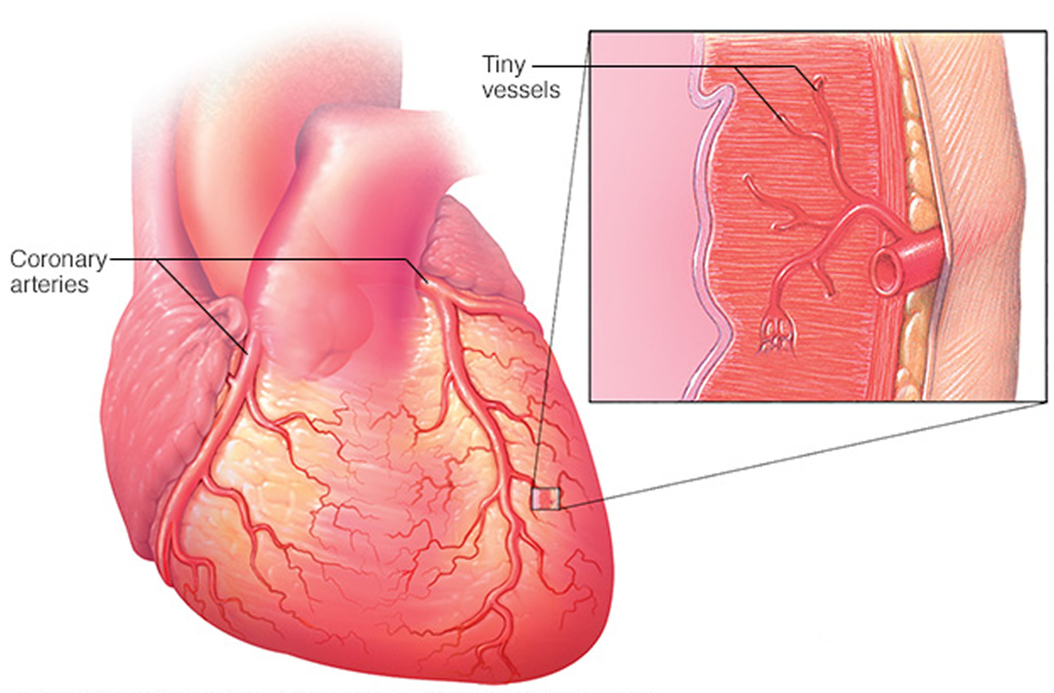 heart-pain-sharp-heart-pain-causes-symptoms-treatment