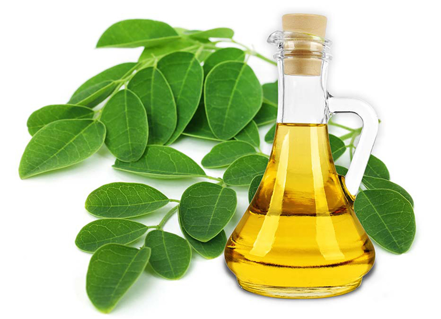 Moringa-Oleifera-Oil