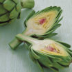 artichoke