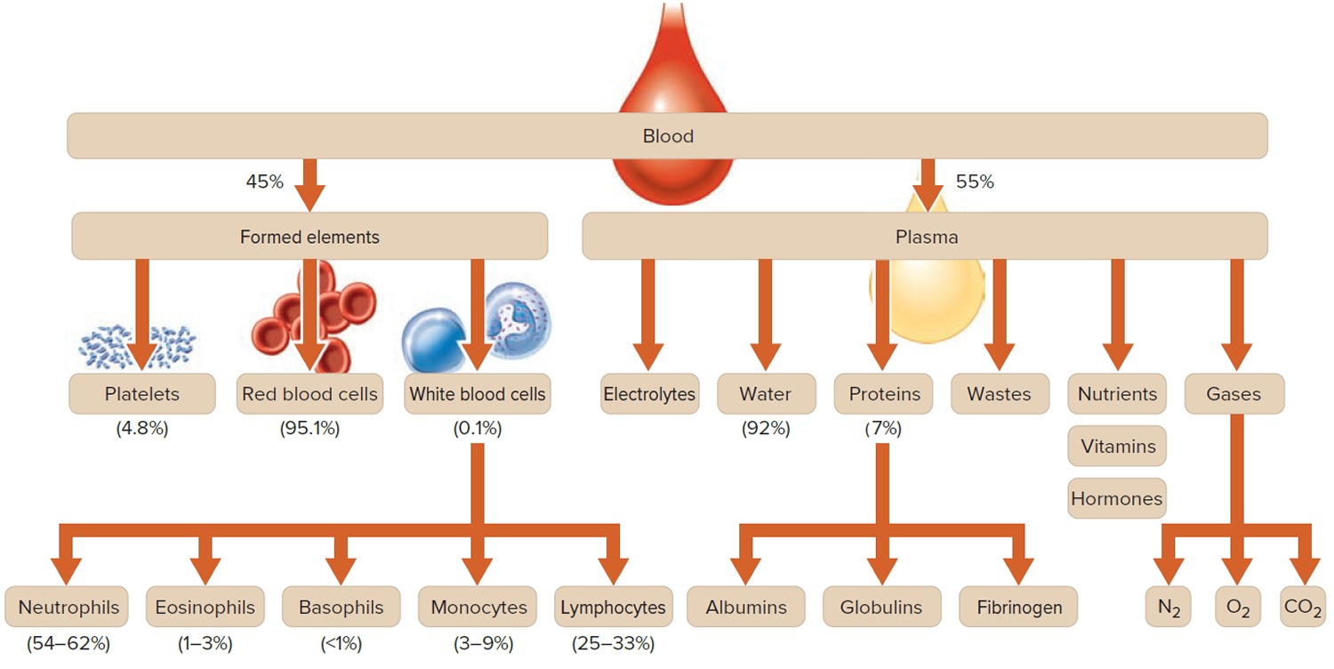 Blood Donation Weight Chart