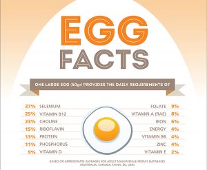 Egg White Nutrition Facts - Protein, Calories, Fa