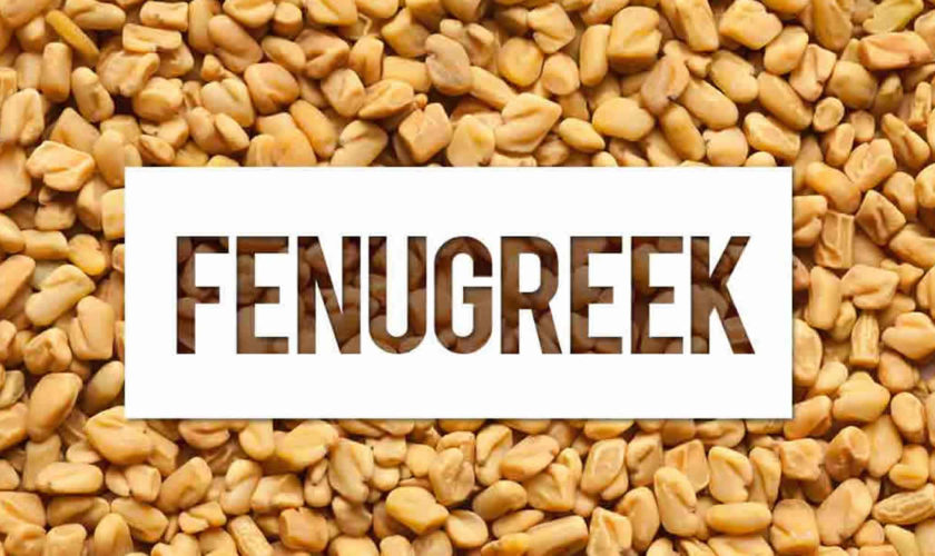 fenugreek seeds