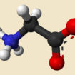 glycine