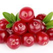 health benefits of cranberry