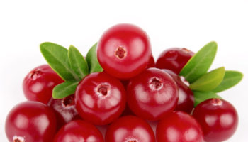 health benefits of cranberry