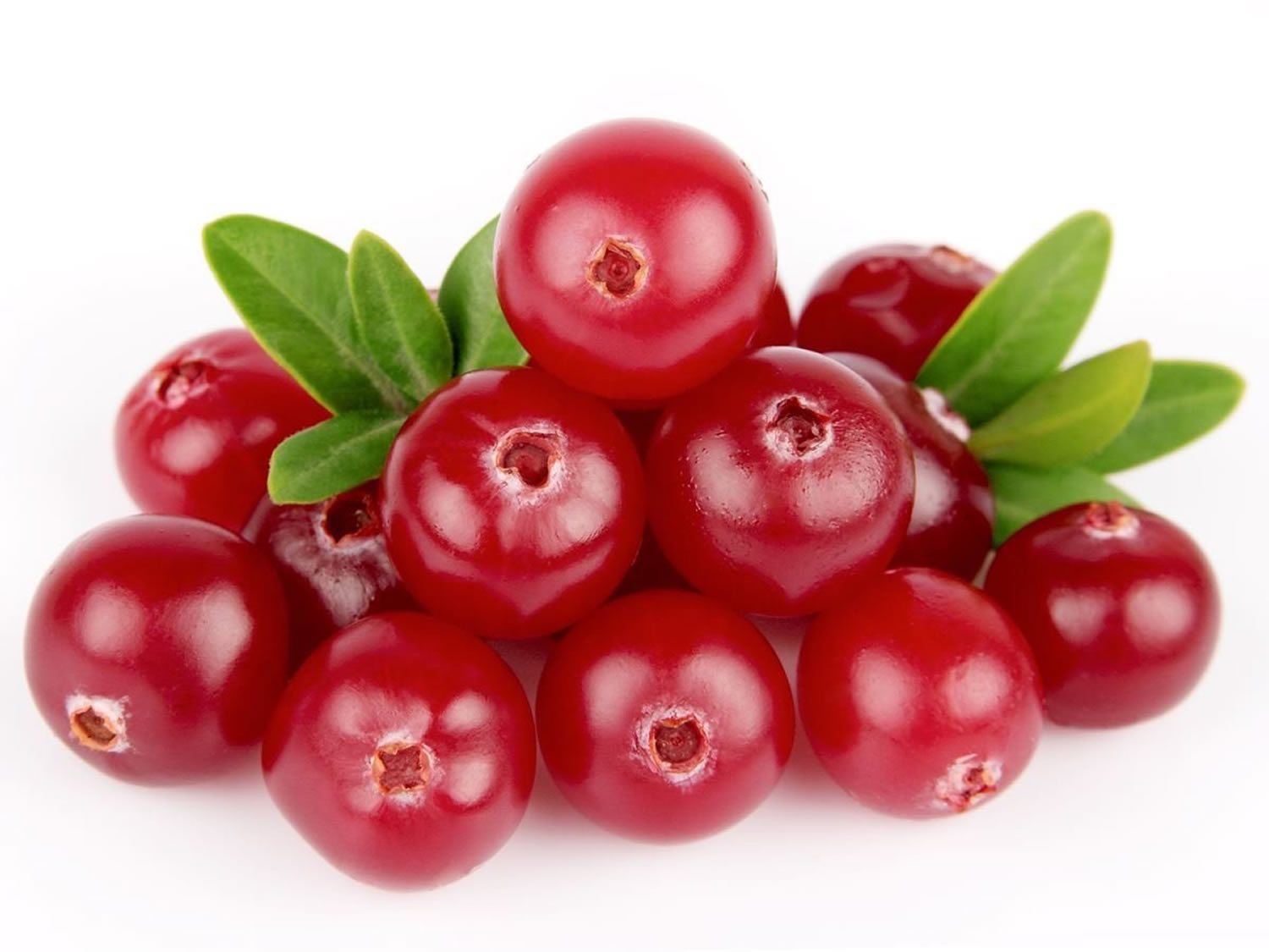 Cranberry Nutrition and Health benefits of Cranberry Juice
