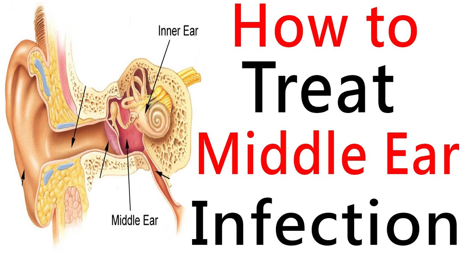 ear-nose-and-throat-is-there-a-best-antibiotic-for-sinus-infections