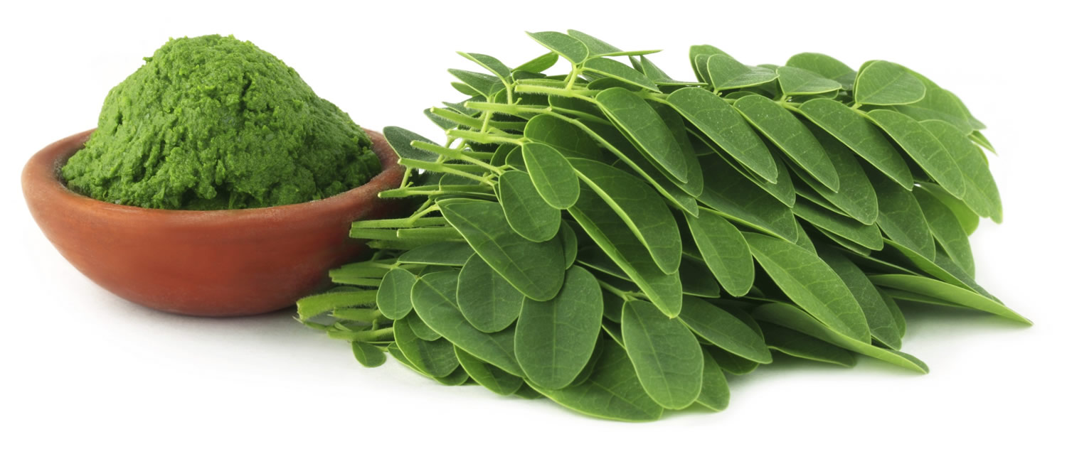 moringa benefits