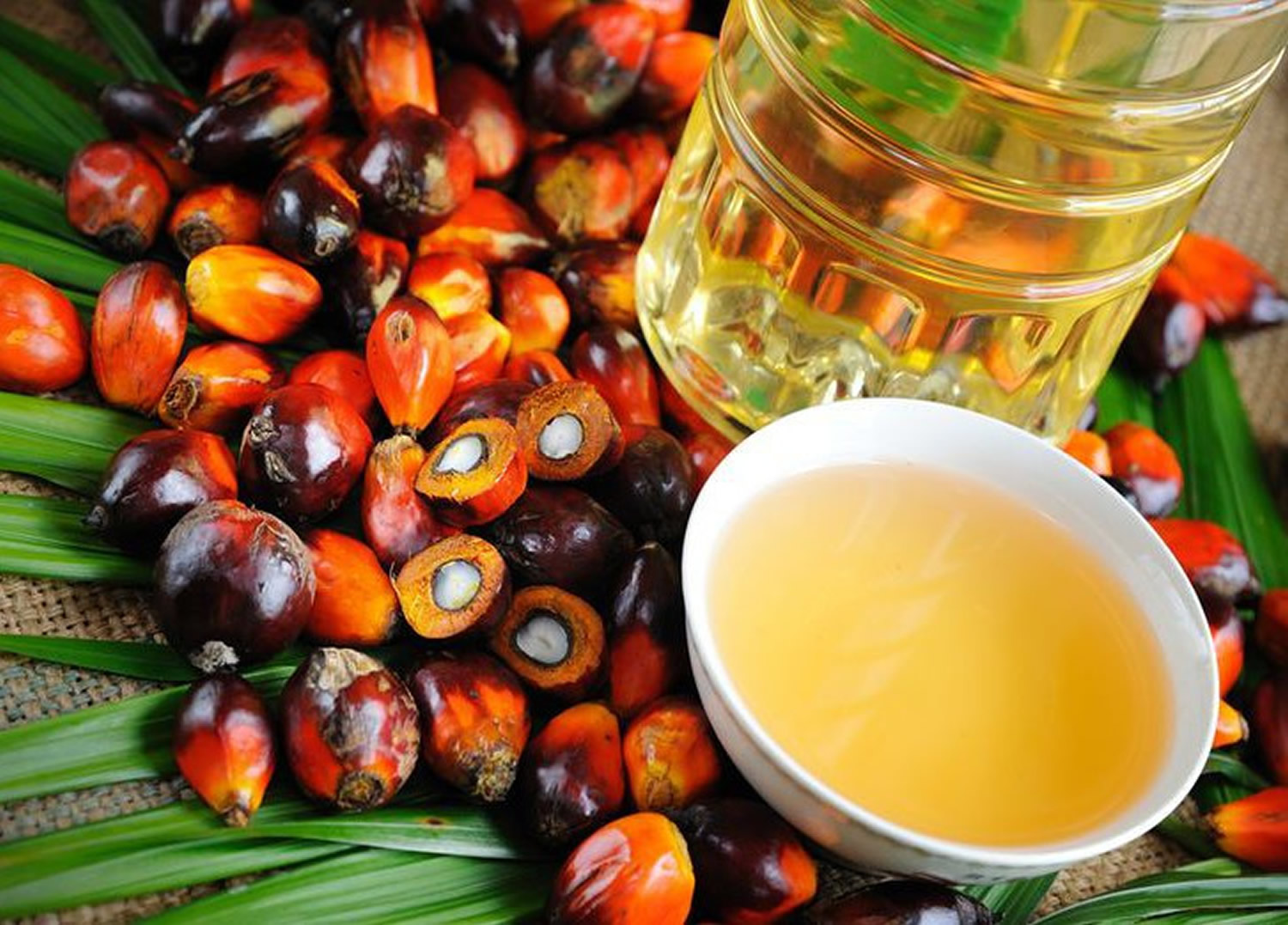 Is Palm Oil Bad For You In Soap