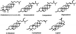 Phytosterols  Foods Source, Health Benefits, Supplements