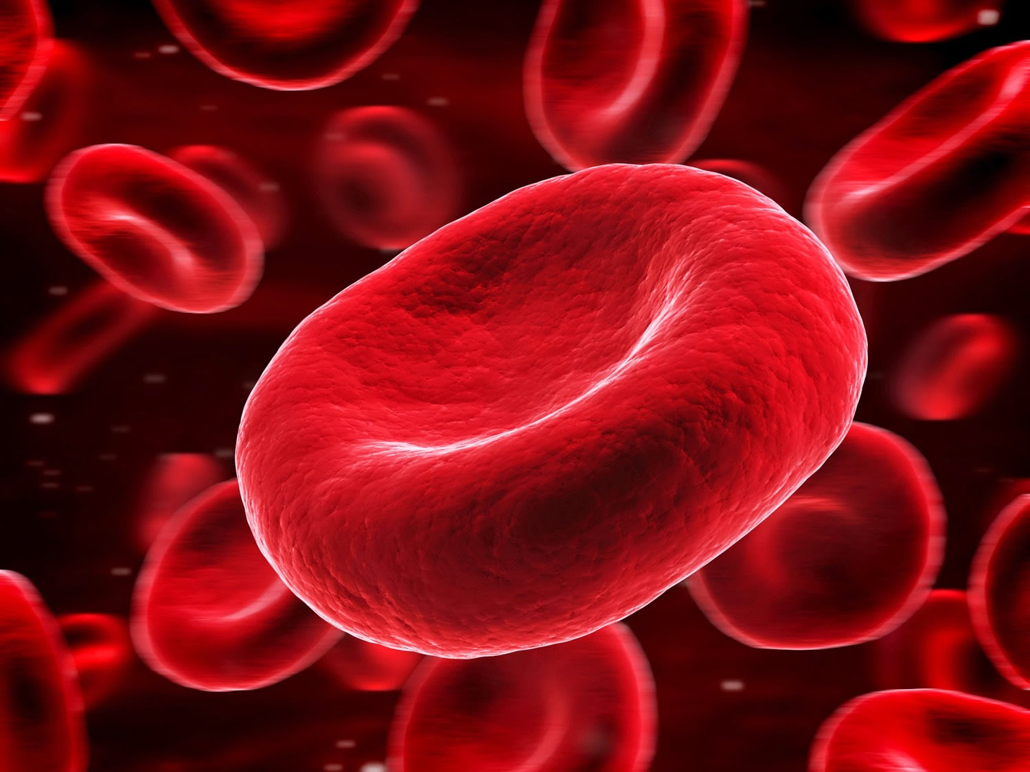 free powerpoint templates mac red blood cells