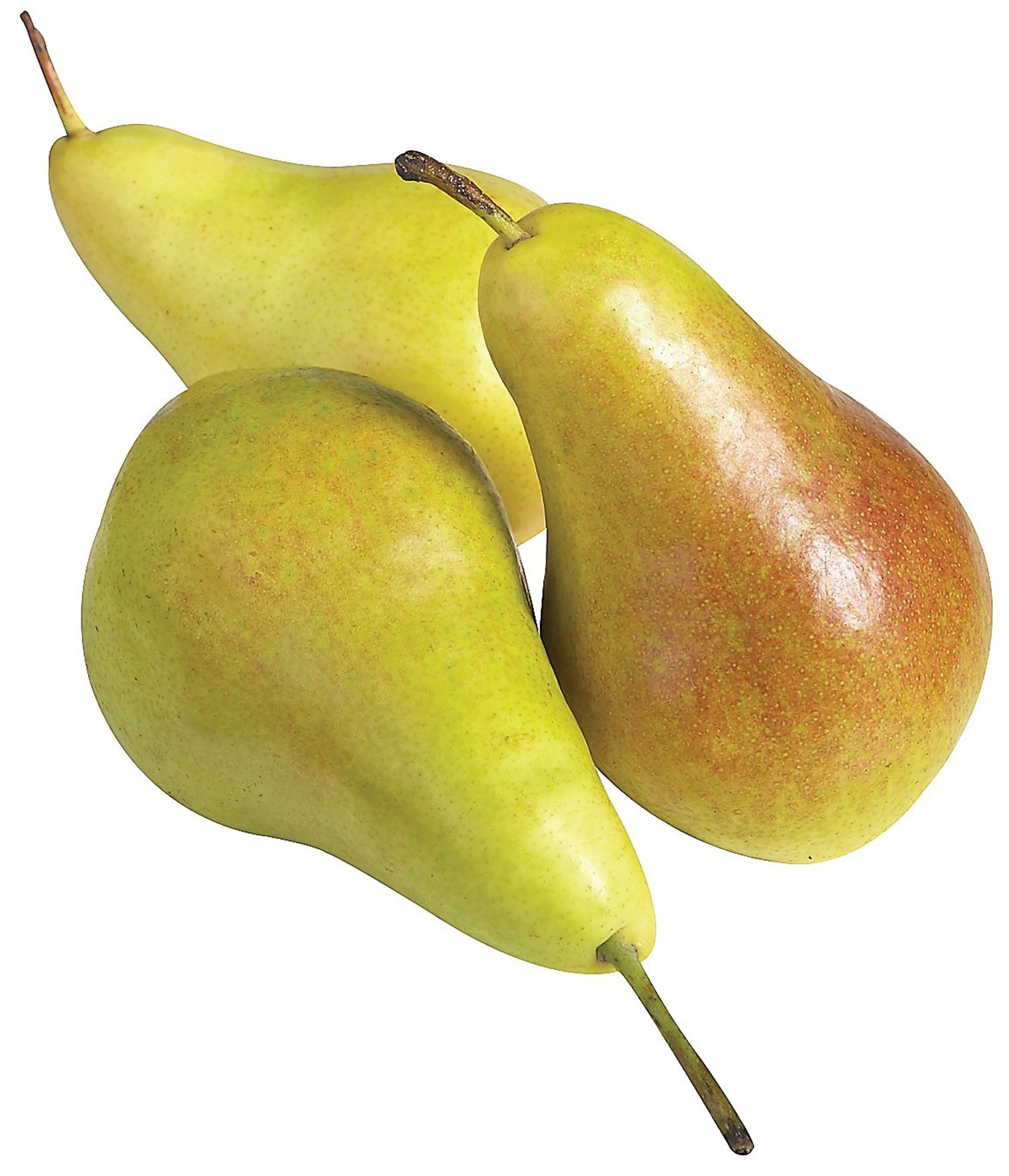 Concorde pears