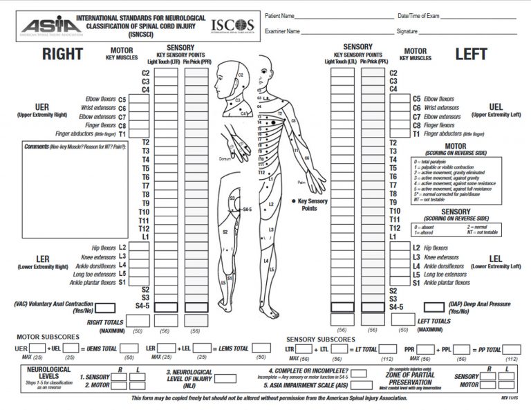 Spinal Cord Injury - Diganosis, Symptoms, Treatment and Rehabilitation