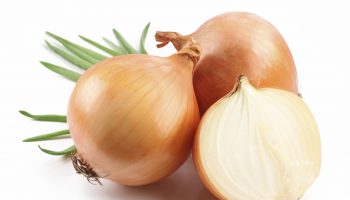 Onion