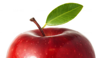 apple fruit