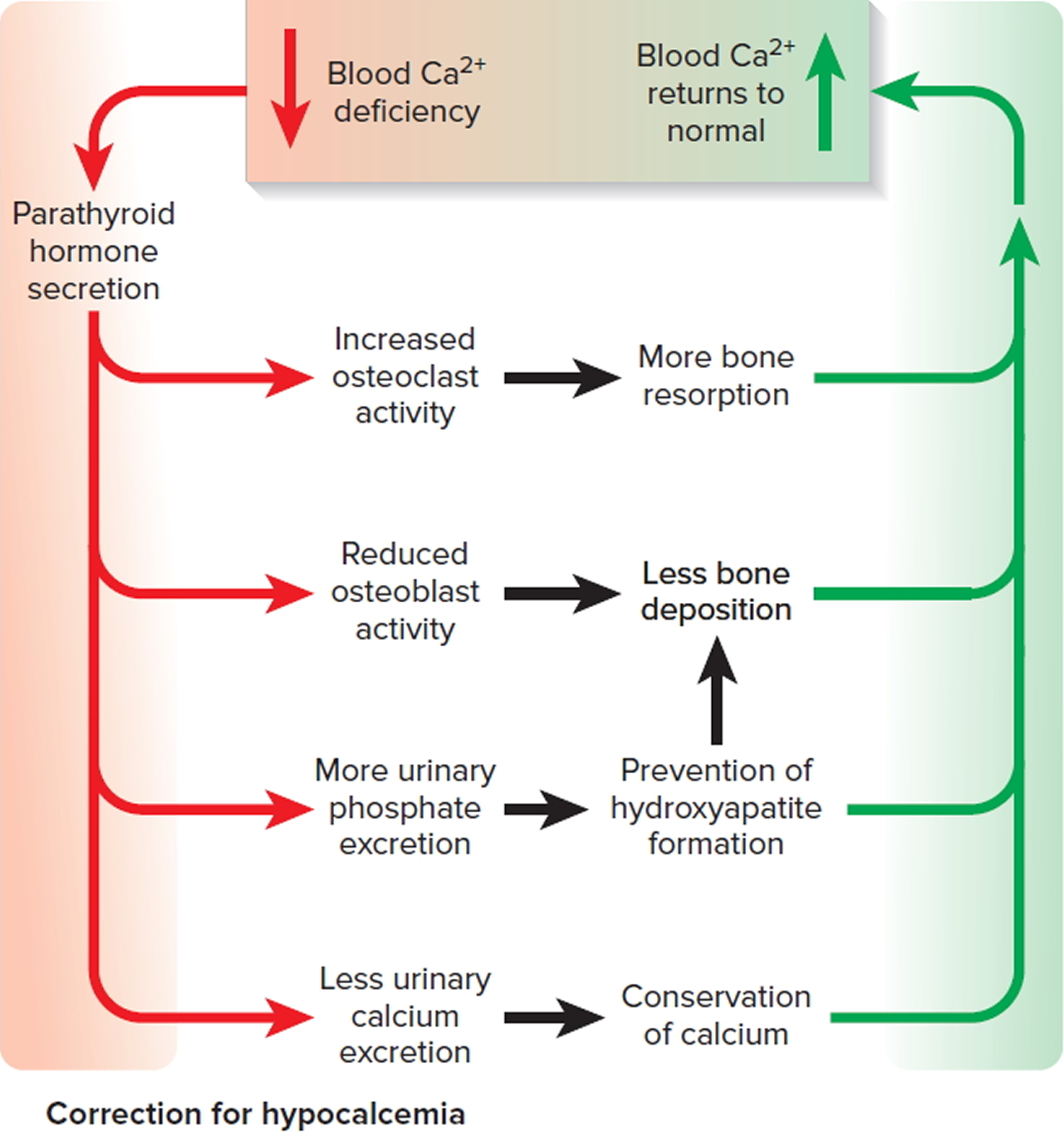 correction of low blood calcium