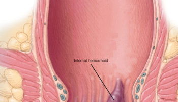 Blood Vessels Types - Blood Vessels Carry Blood From Heart - Layers of ...