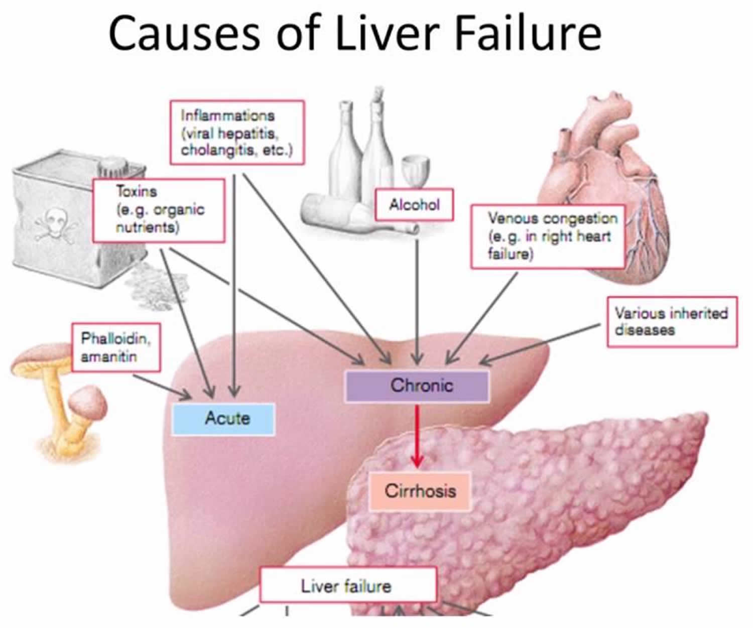 Disease study