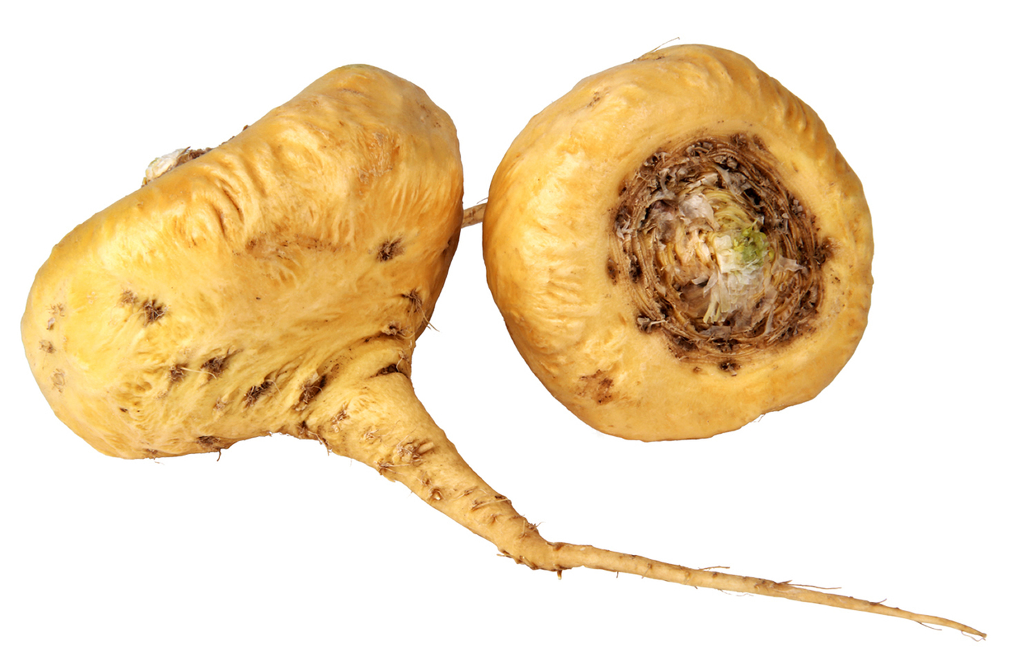 Maca Root Maca Root Clincally Proven Benefits And Use Maca Dangers