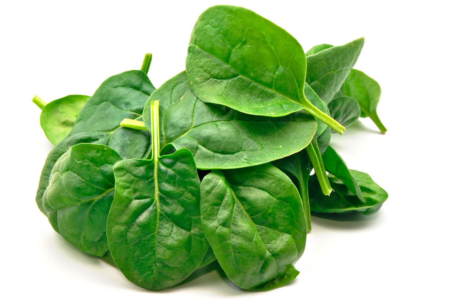 Spinach Nutrition Facts Calories, Protein, Iron, Oxalate & Health