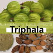 triphala