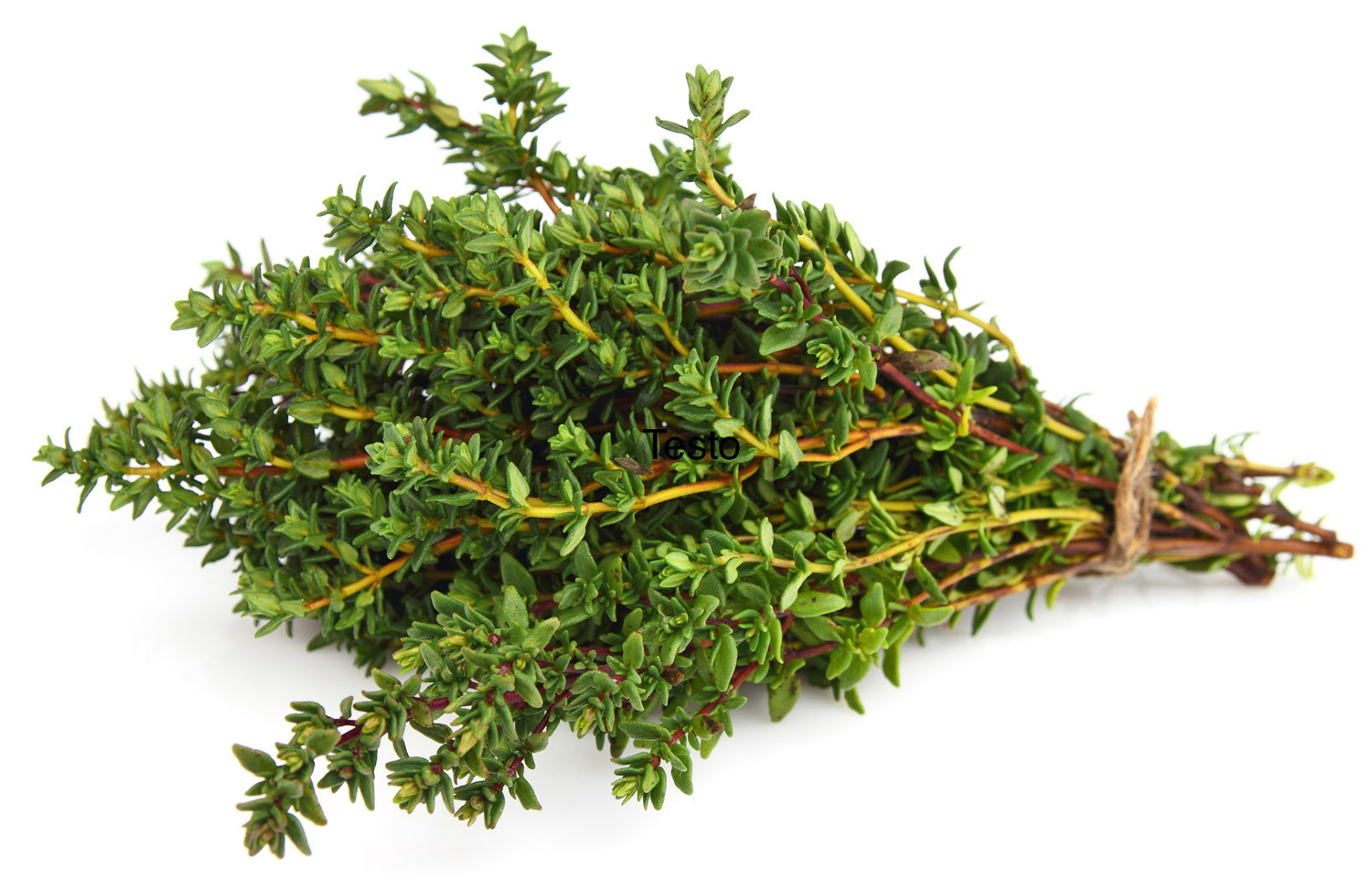 thyme substitute health benefits