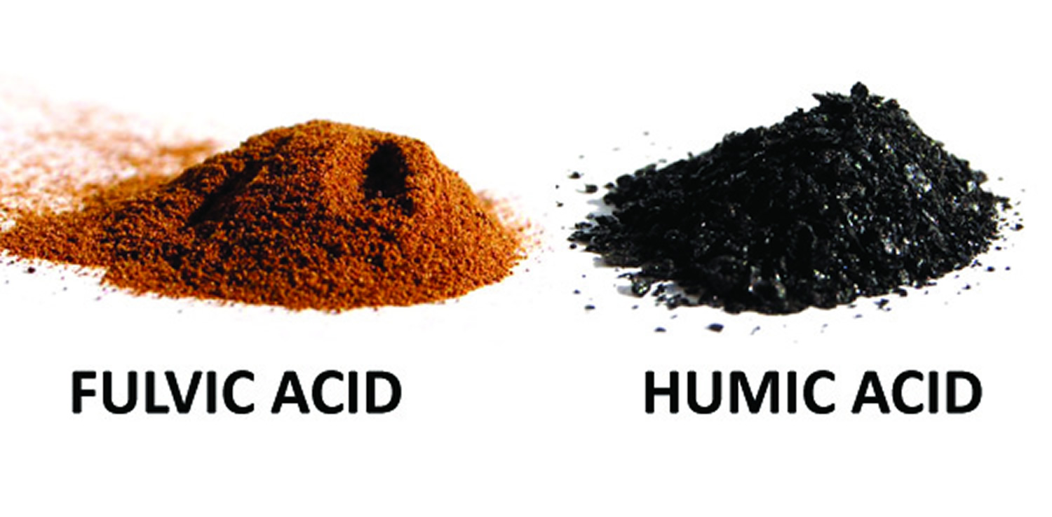 Fulvic acid and Humic Acid - What are fulvic acids & what are their ...