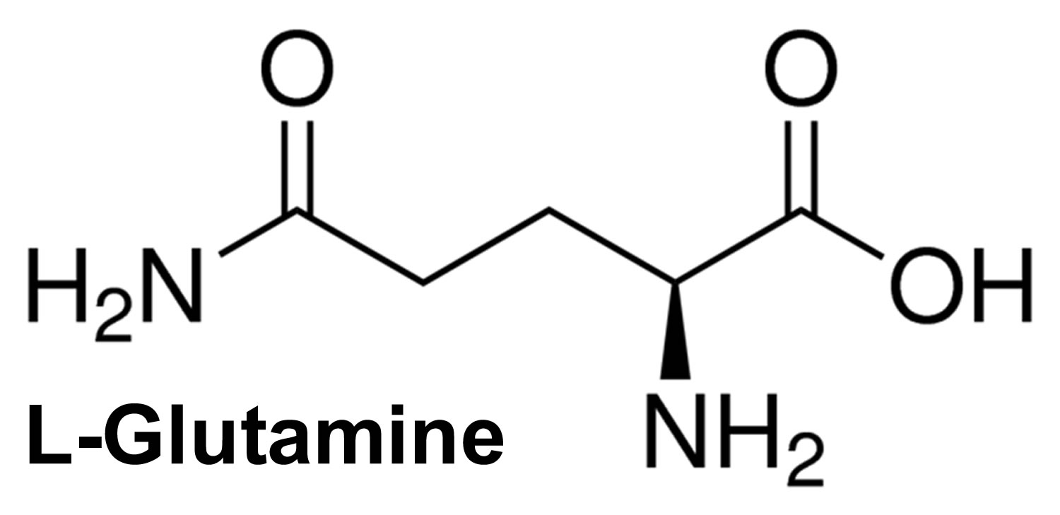 L-Glutamine - American Chemical Society