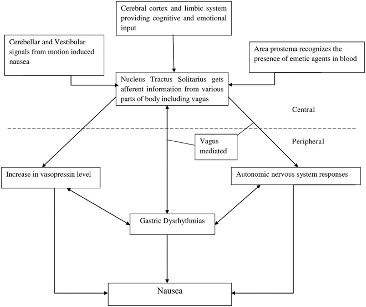 Pathogenesis of nausea