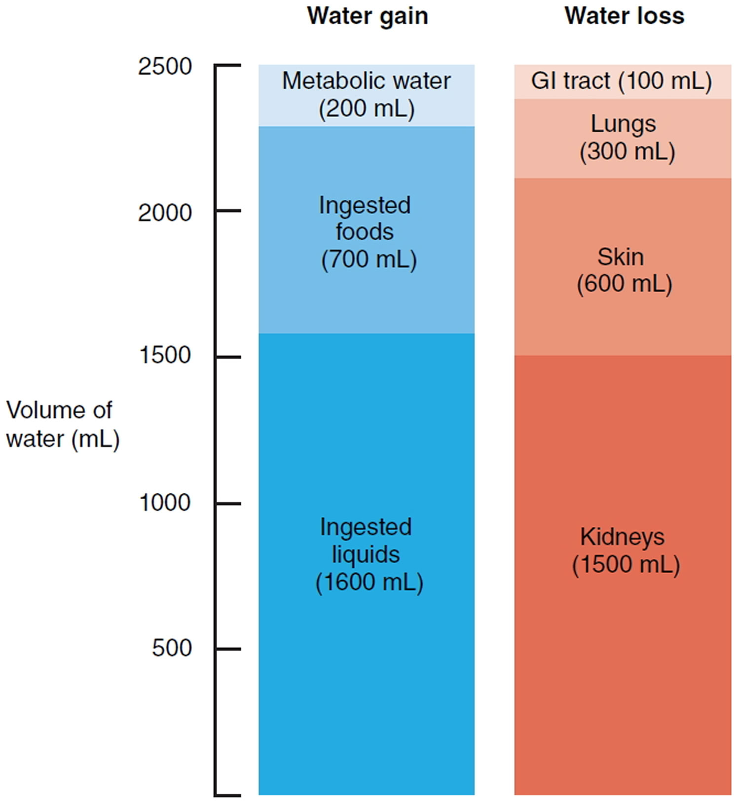 electrolyte-imbalance-causes-symptoms-and-treatment