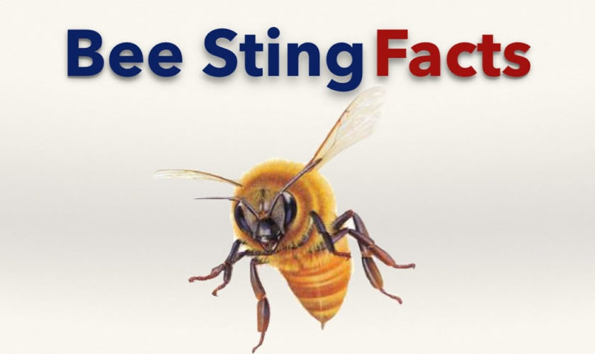 bee-sting