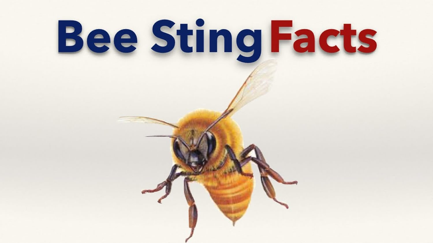 what is the meaning of a bee sting