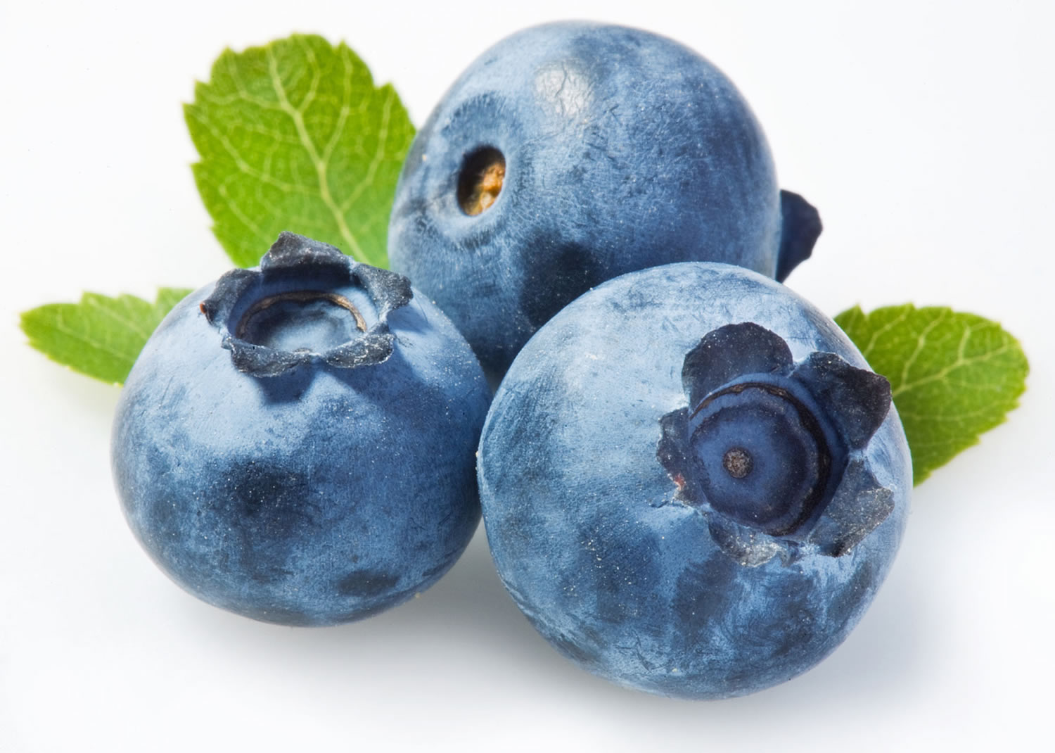 blueberries nutrition