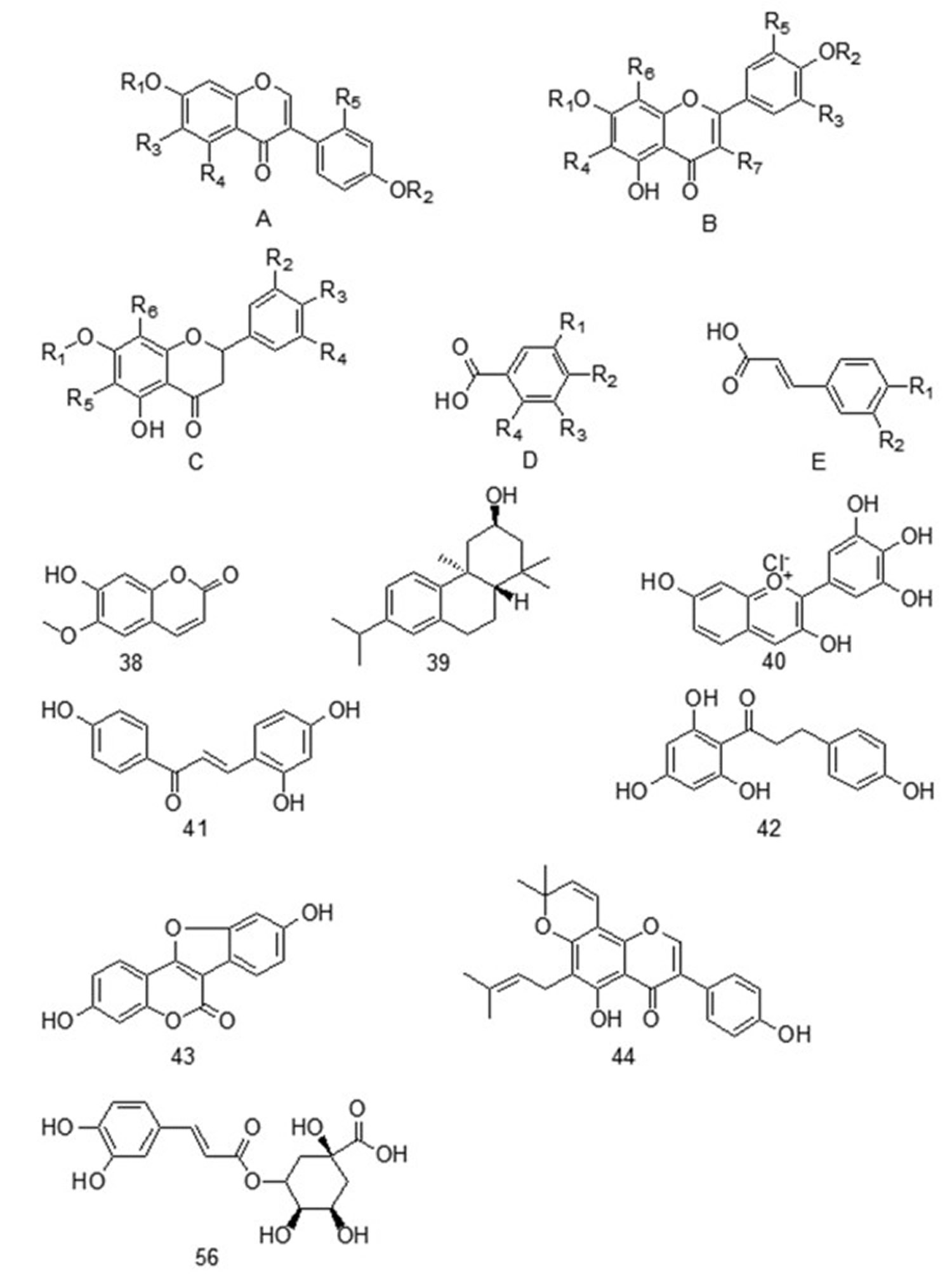 chemical components of mung beans