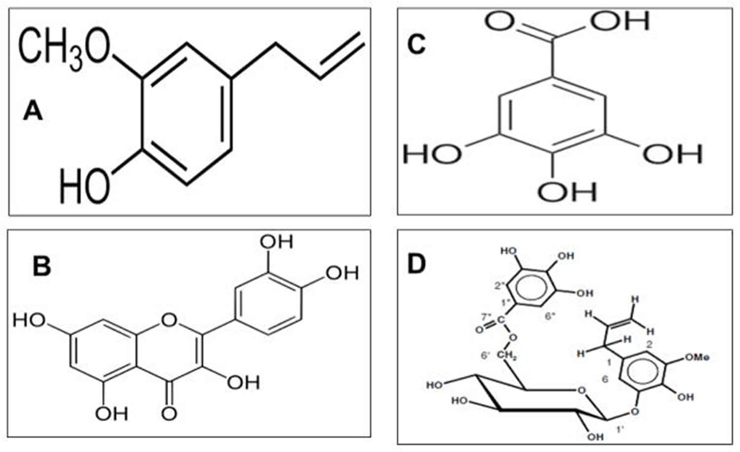 common phenolic compounds isolated from Allspice