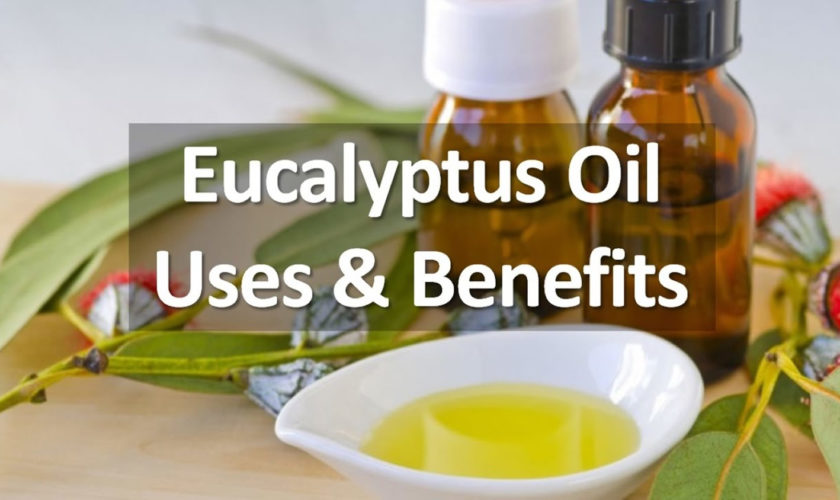 eucalyptus essential oil benefits