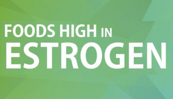foods high in estrogen