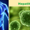 hepatitis b