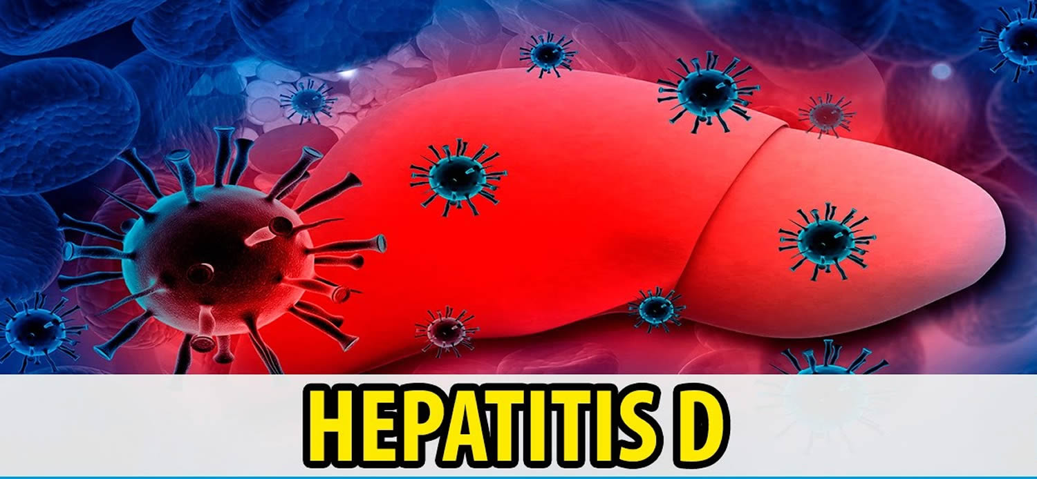 Hepatiitti D