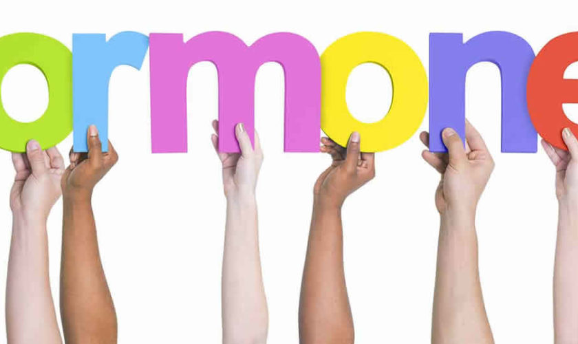 hormone replacement therapy