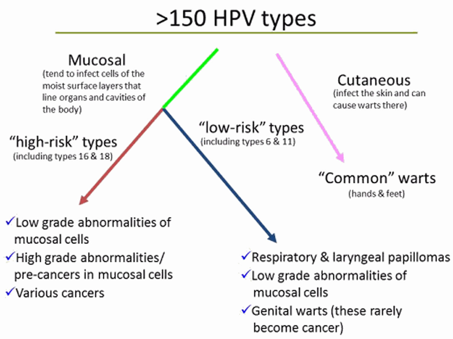 hpv types