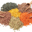 lentils