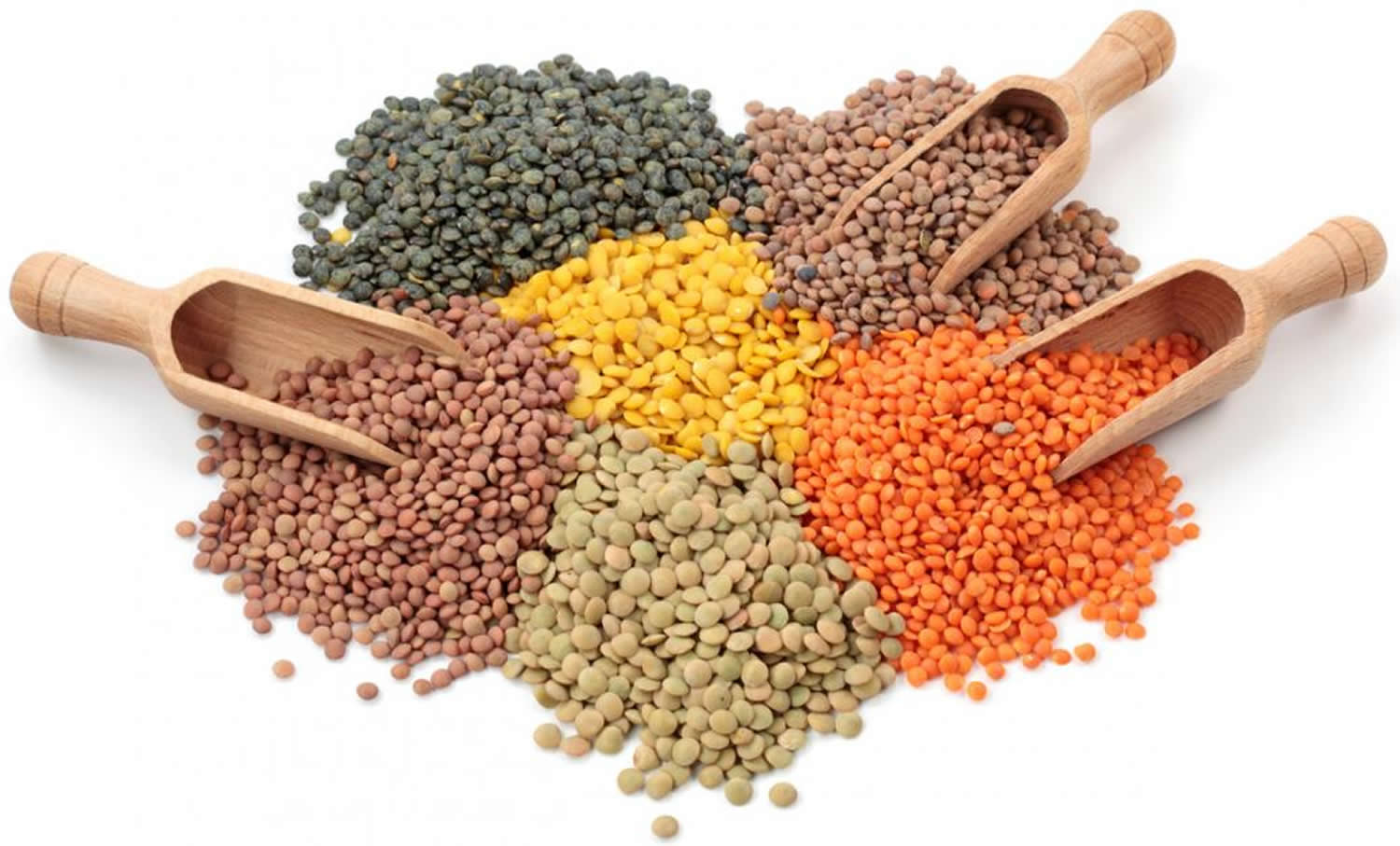 Lentils 