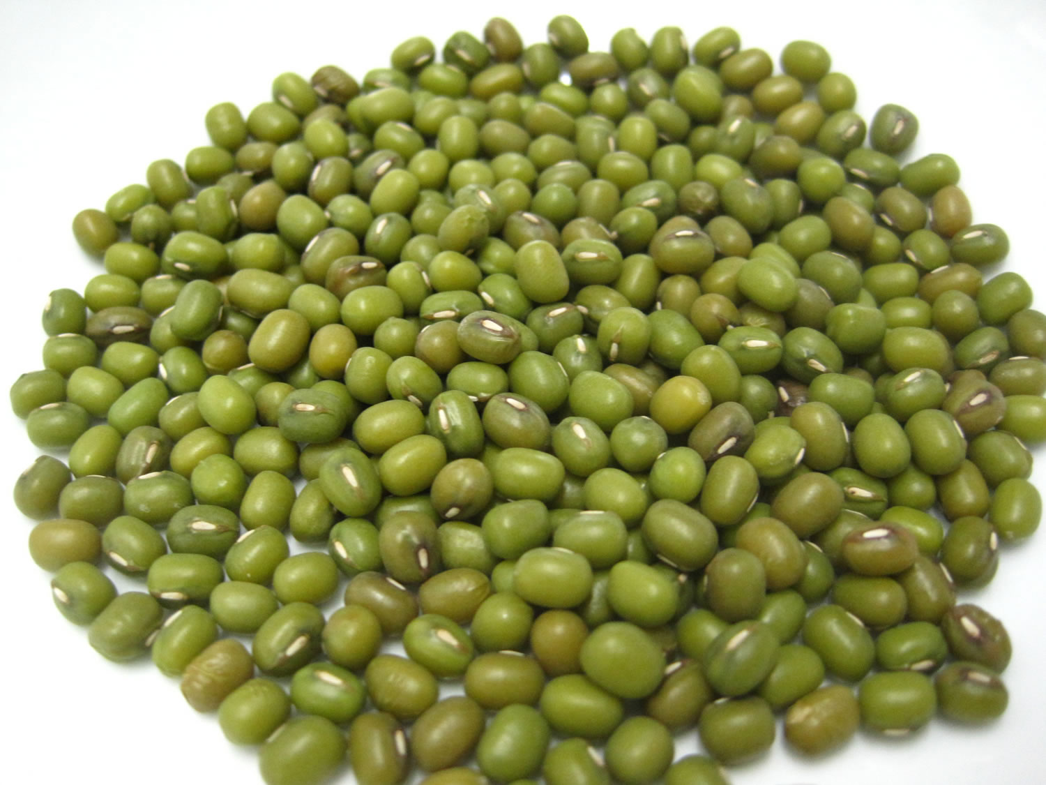 mung-beans-sprouts-nutrition-calories-mung-beans-health-benefits