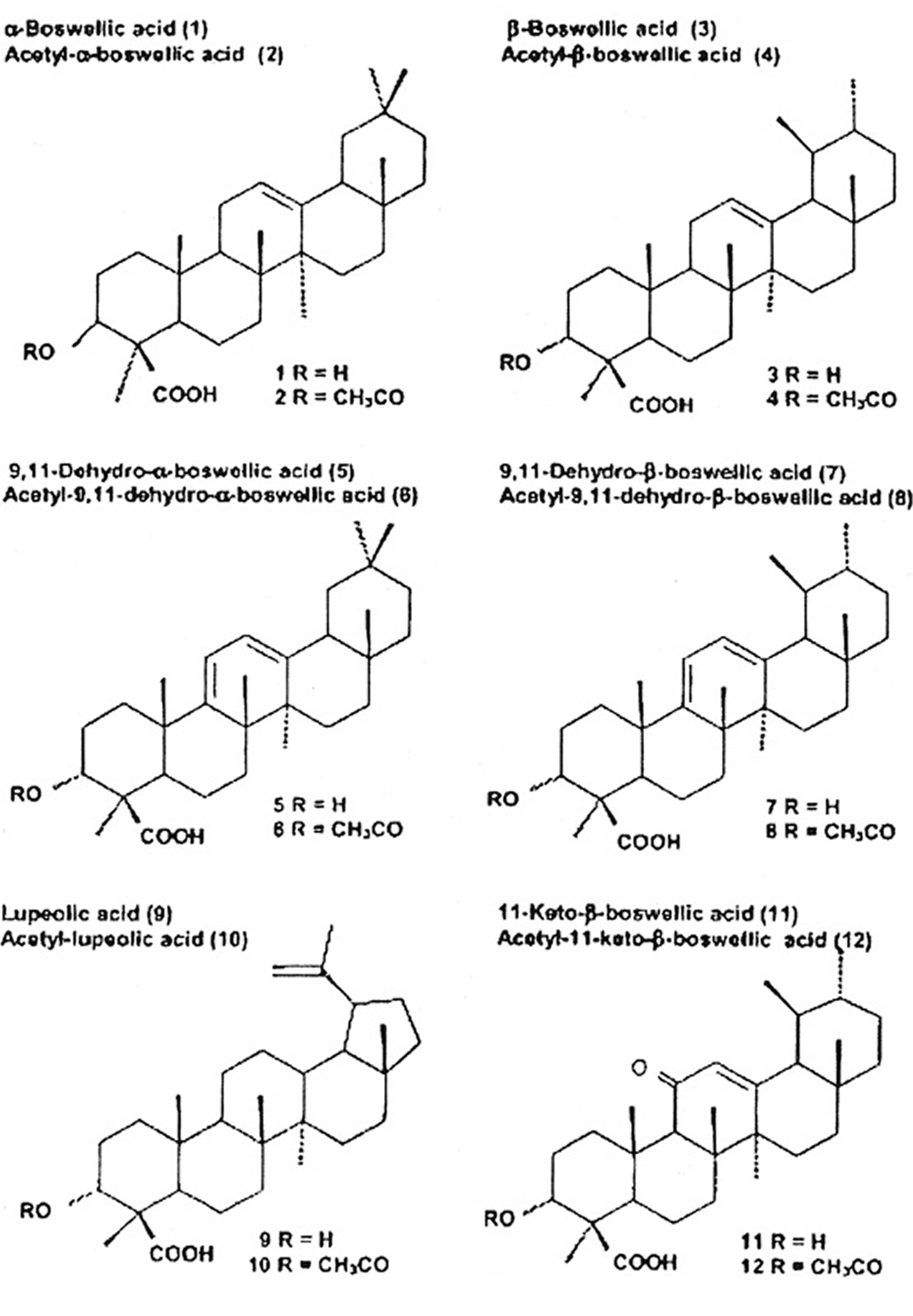 triterpenic acids present in frankincense