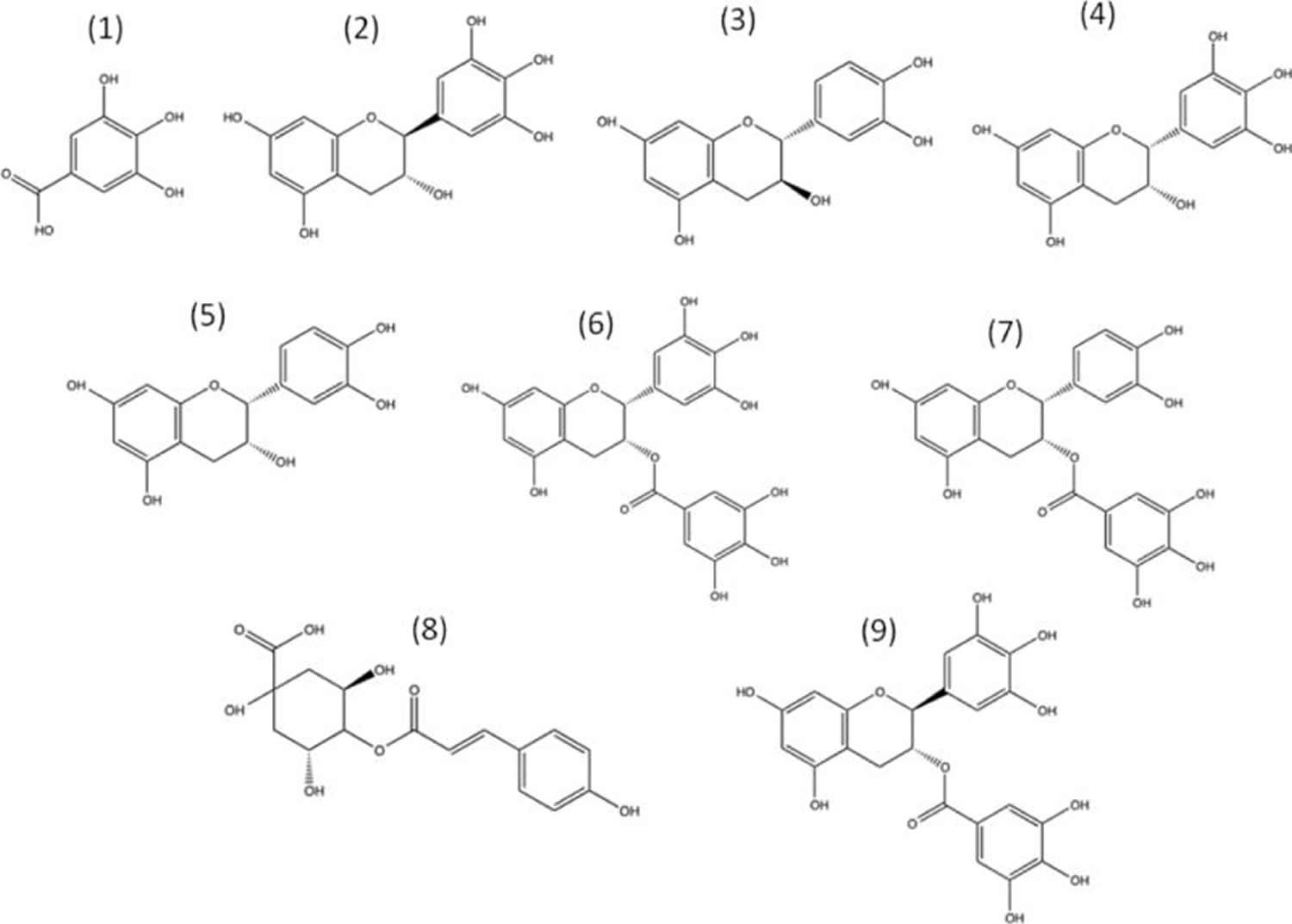 Chemical structures of the major green tea polyphenols