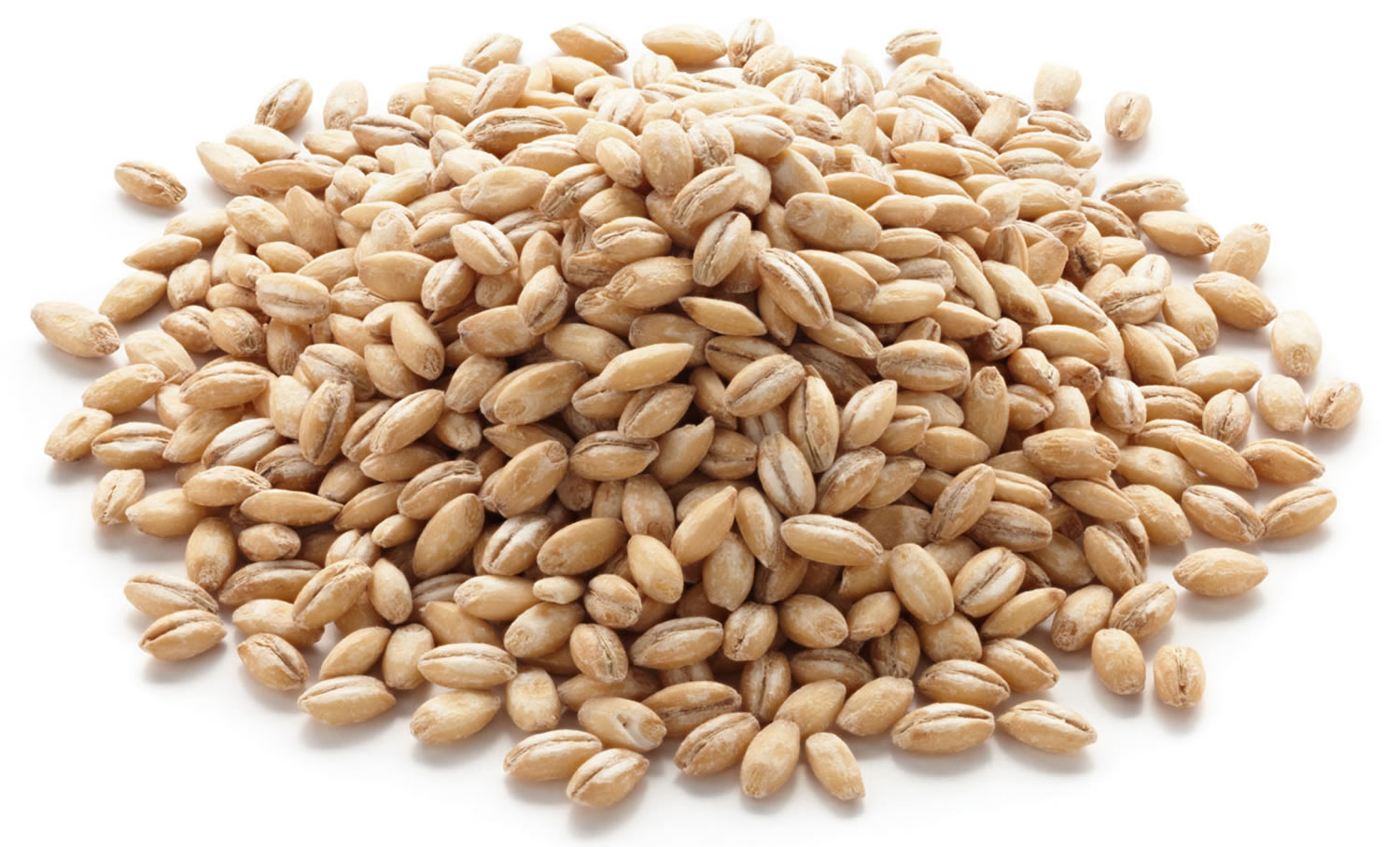 Hulless Barley Nutrition Facts Blog Dandk