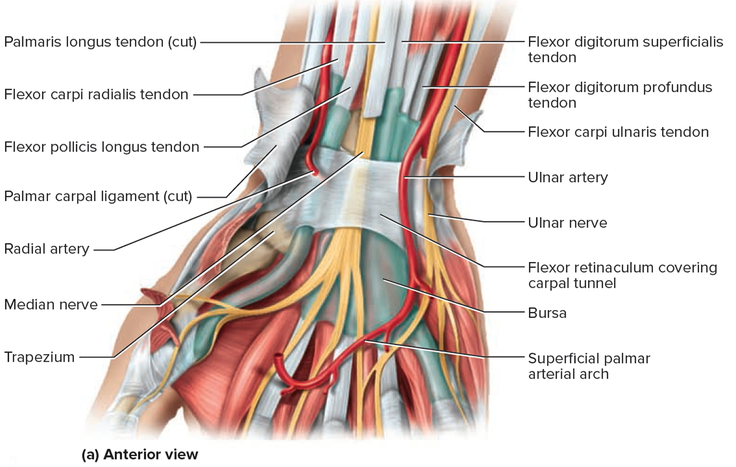 carpal tunnel treatment