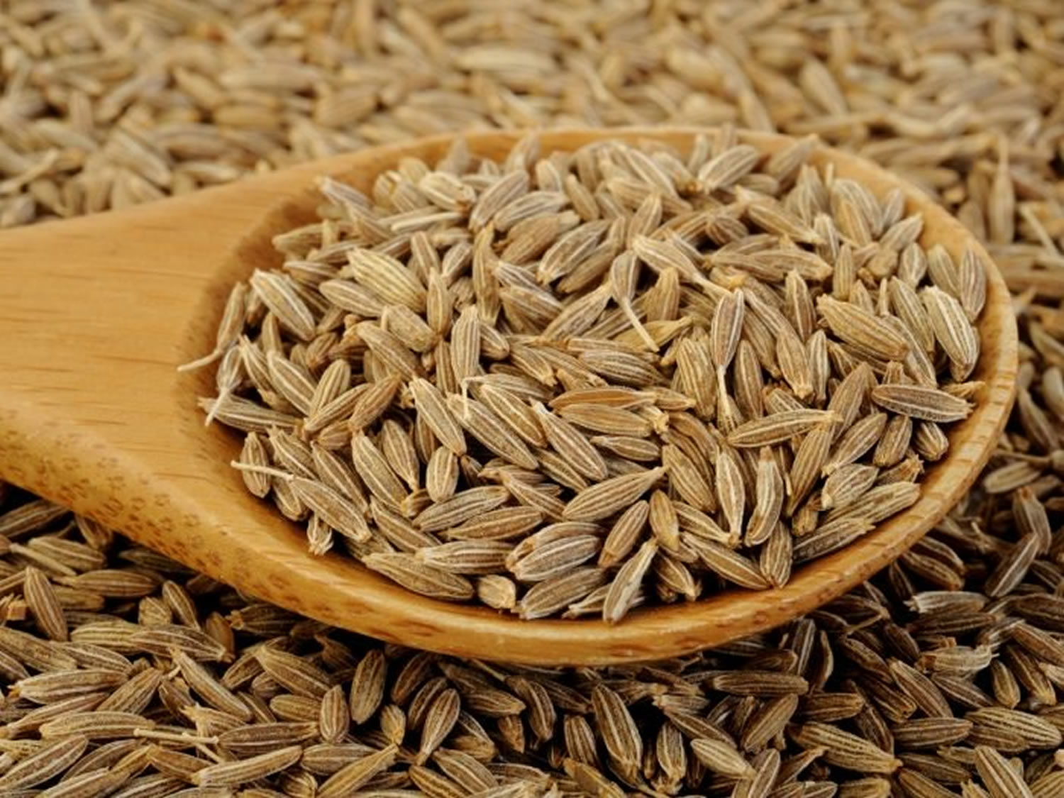 Cumin - Spice, Powder, and Cumin Oil - Uses & Health Benefits