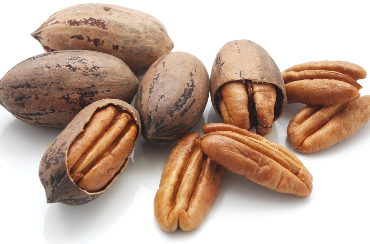 Pecan - Pecan Nutrition Facts, Calories, Carbs - Pecan Health Benefits